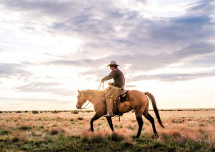 The Road to The Ranches