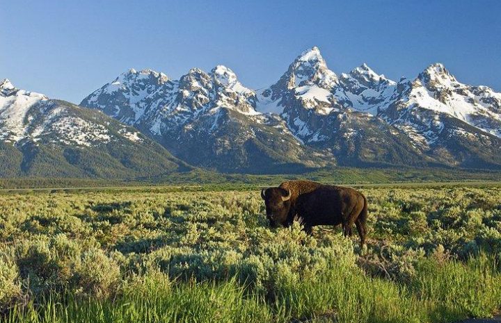 Snuggled at the base of the mighty Teton Mountain Range in Northwest Wyoming, the valley of Jackson Hole offers an exhilarating taste of the Wild West in more ways than one.