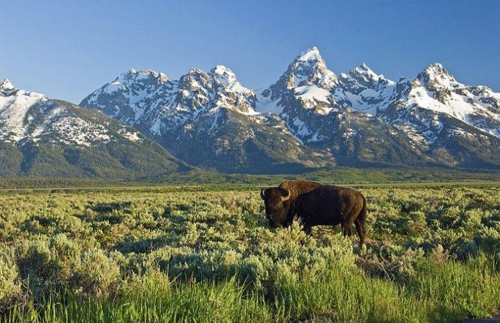 Snuggled at the base of the mighty Teton Mountain Range in Northwest Wyoming, the valley of Jackson Hole offers an exhilarating taste of the Wild West in more ways than one.
