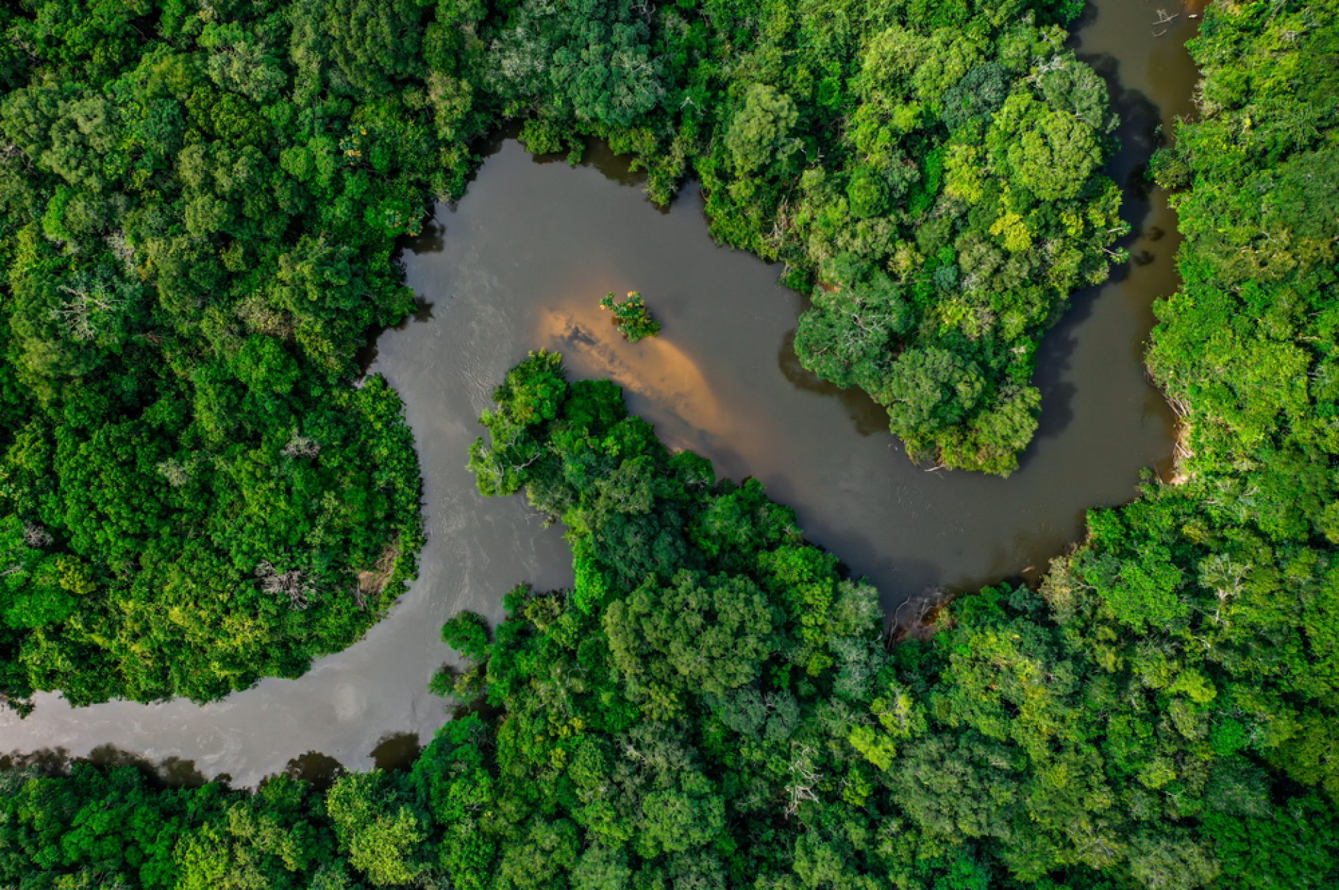 Rio Negro Queen: The Last Trip...Almost.