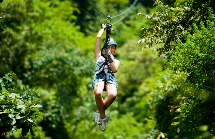 From the resonating howls of howler monkeys to the playful antics of white-faced capuchin monkeys, the rainforest will unveil its vibrant inhabitants.