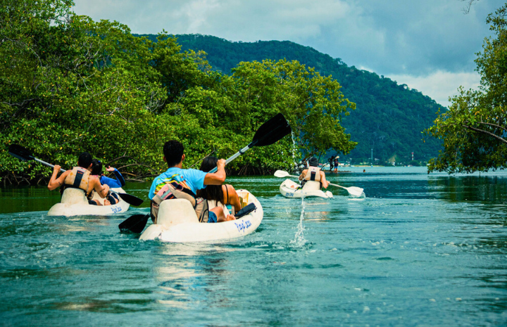 There are about 35,0000 hectares (86,000 acres) of mangrove forest in Costa Rica.